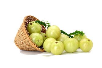 The way to achieve longevity